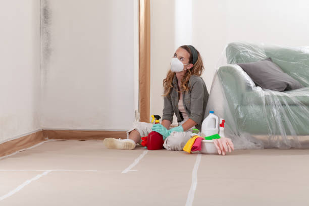 Reliable Mold Remediation contractor in Centreville, MI by Mold Remediation HQ